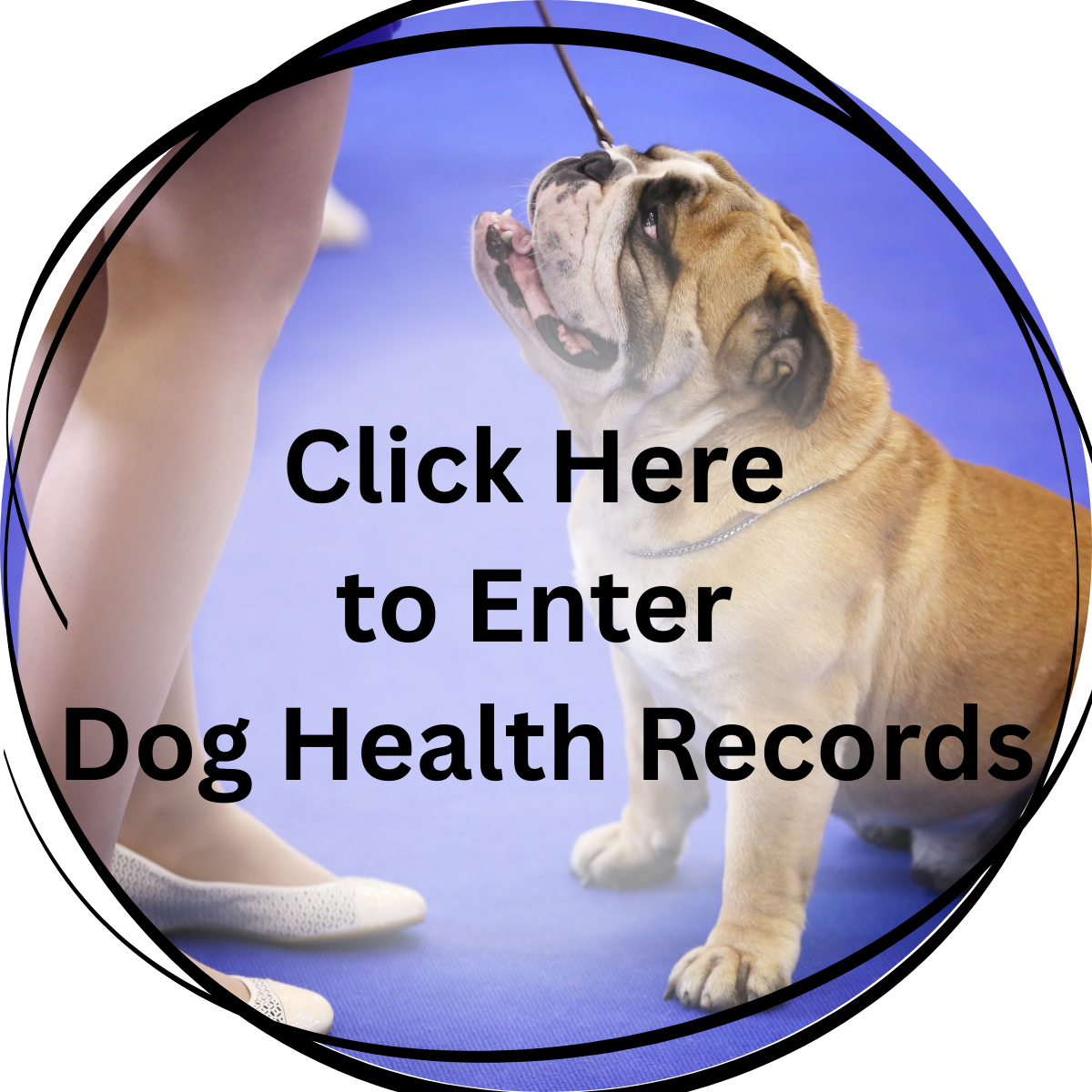 Dog Health Button